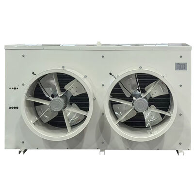 DJ20 Ceiling Mounted Cold Room Air Cooler
